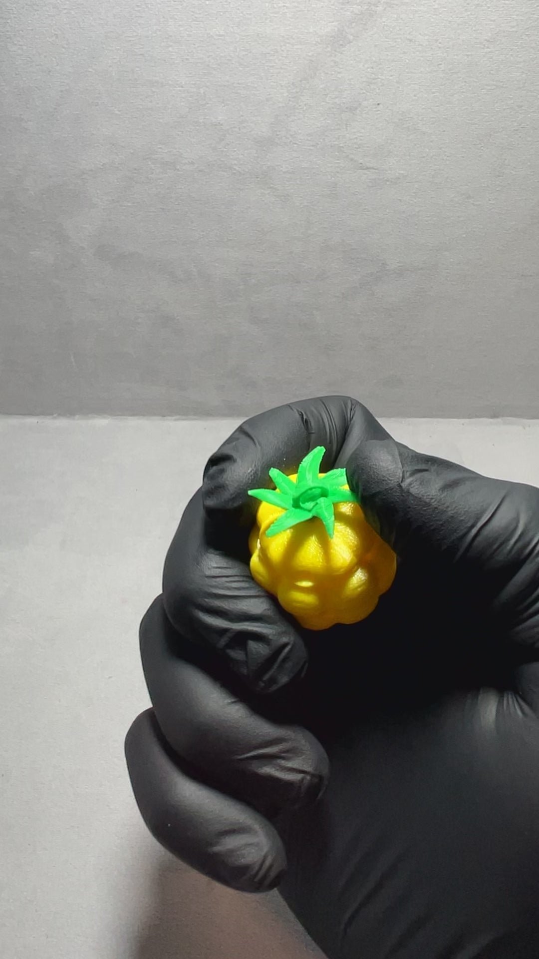 ONE PIECE DEVIL FRUIT SECRET STORAGE KEYCHAIN